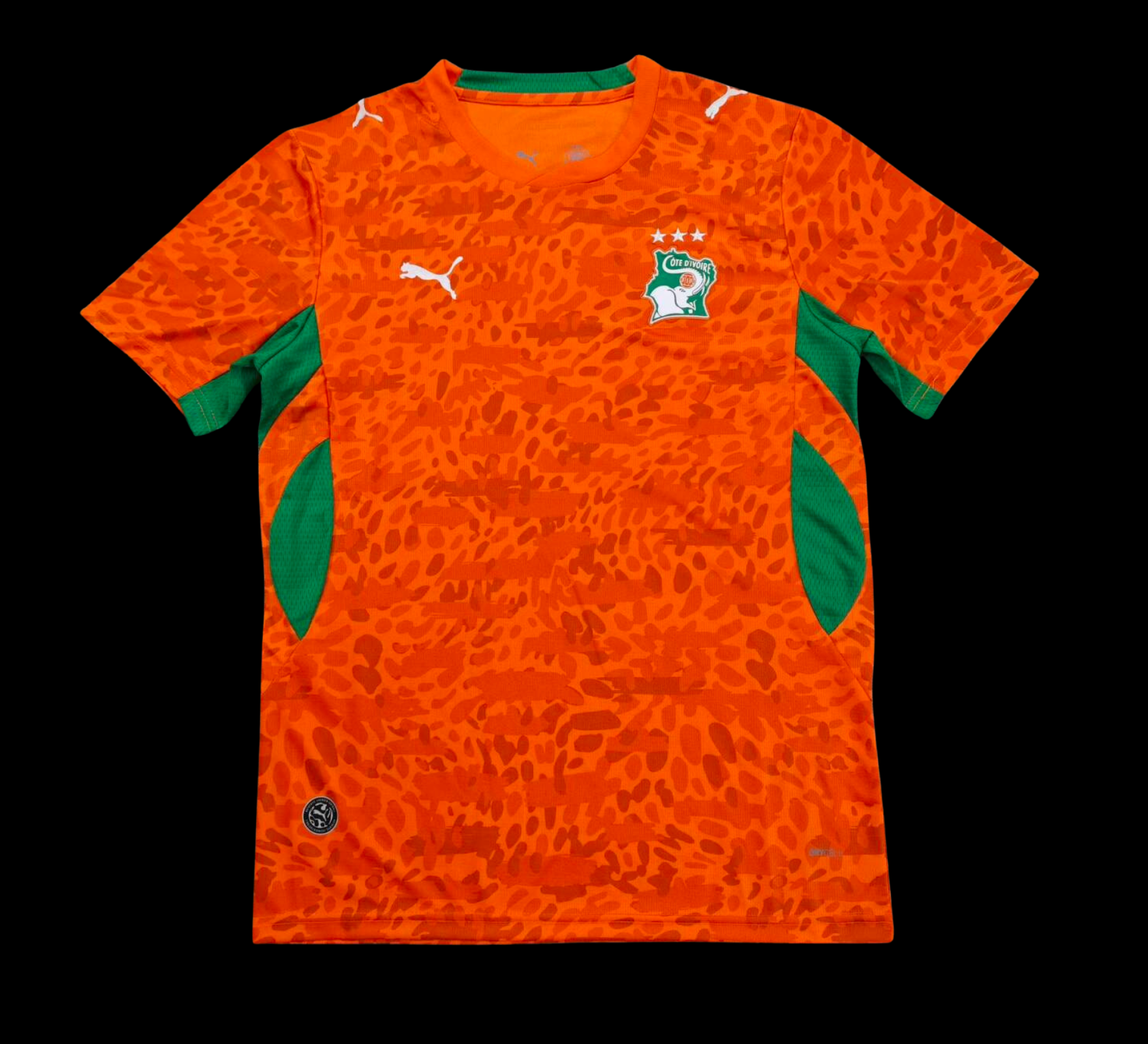 Ivory Coast 2026 World Cup Home
