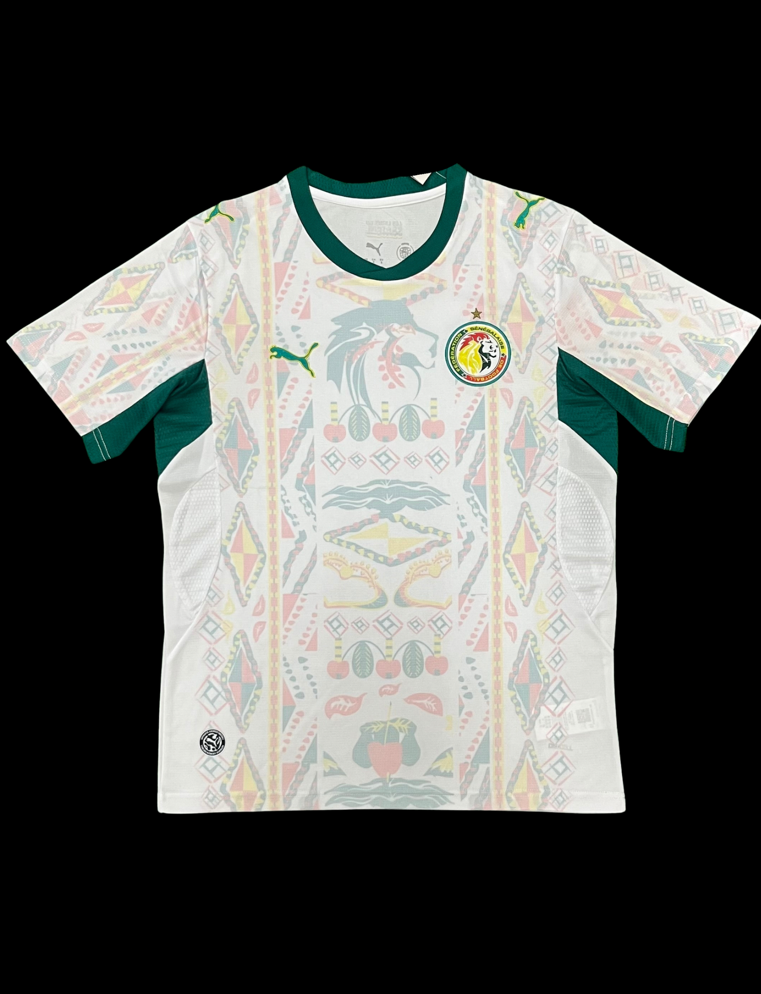 Senegal 2026 World Cup Home