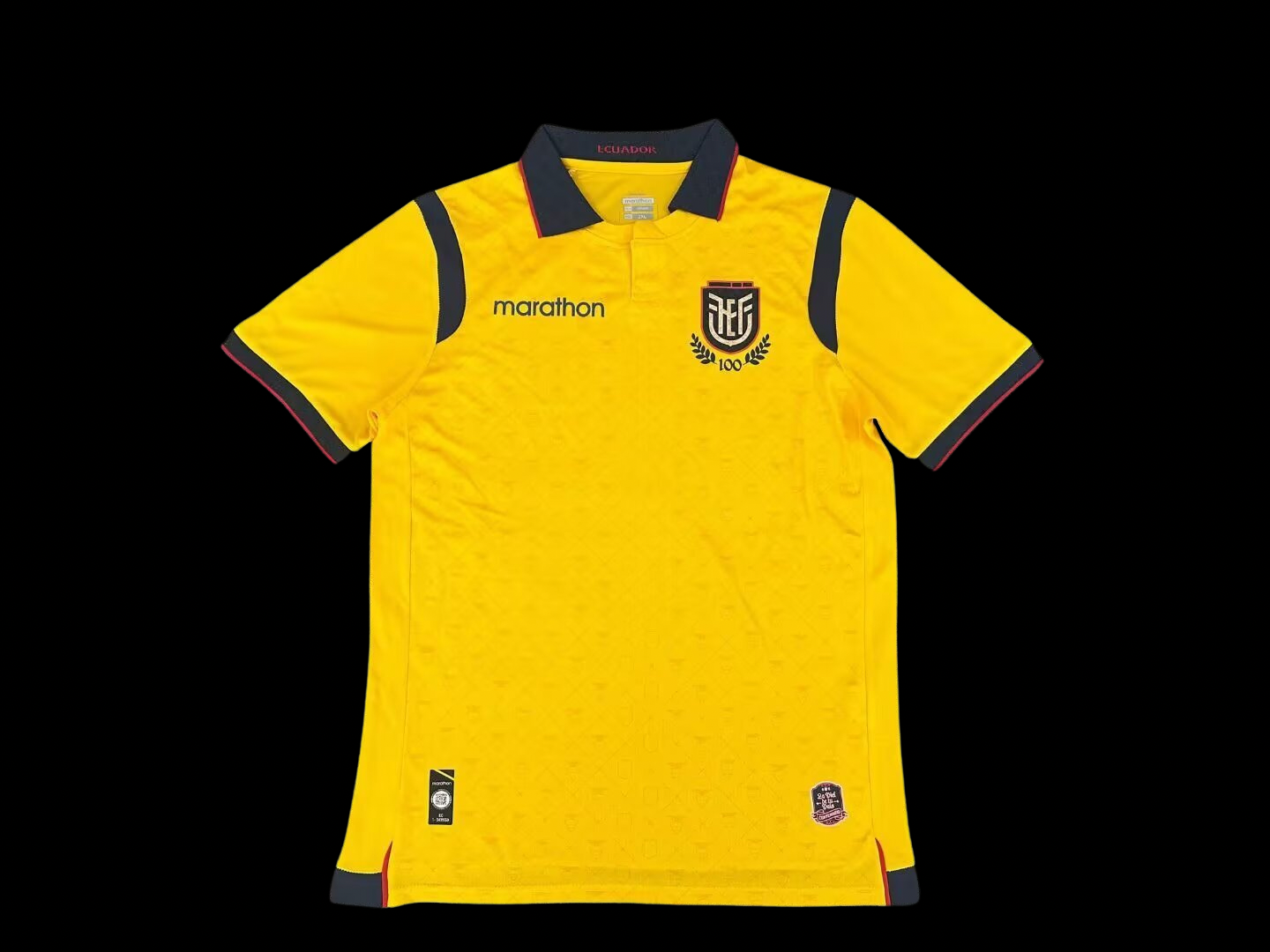 Ecuador 2026 World Cup Home