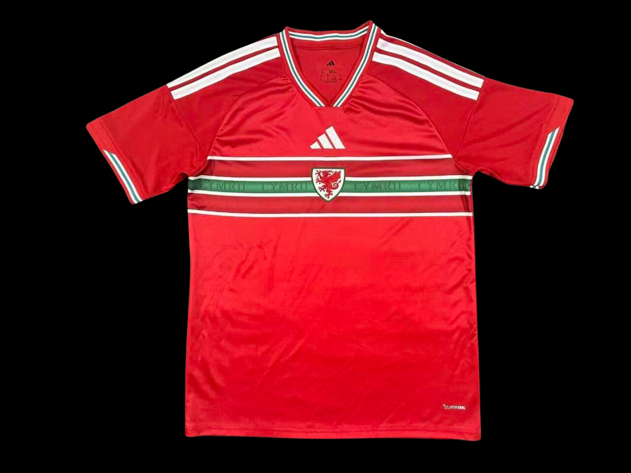 Wales 2026 World Cup Home
