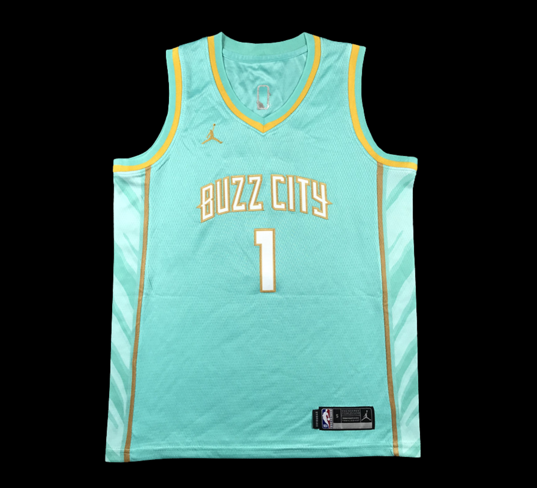 Charlotte Hornets