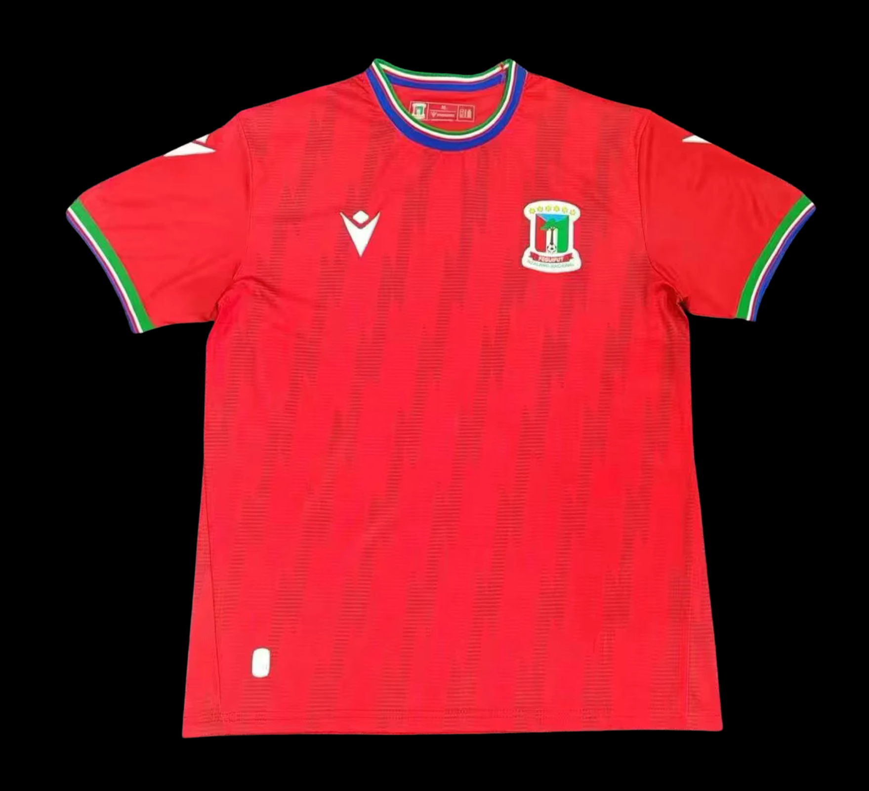 Guinea 2026 World Cup Home