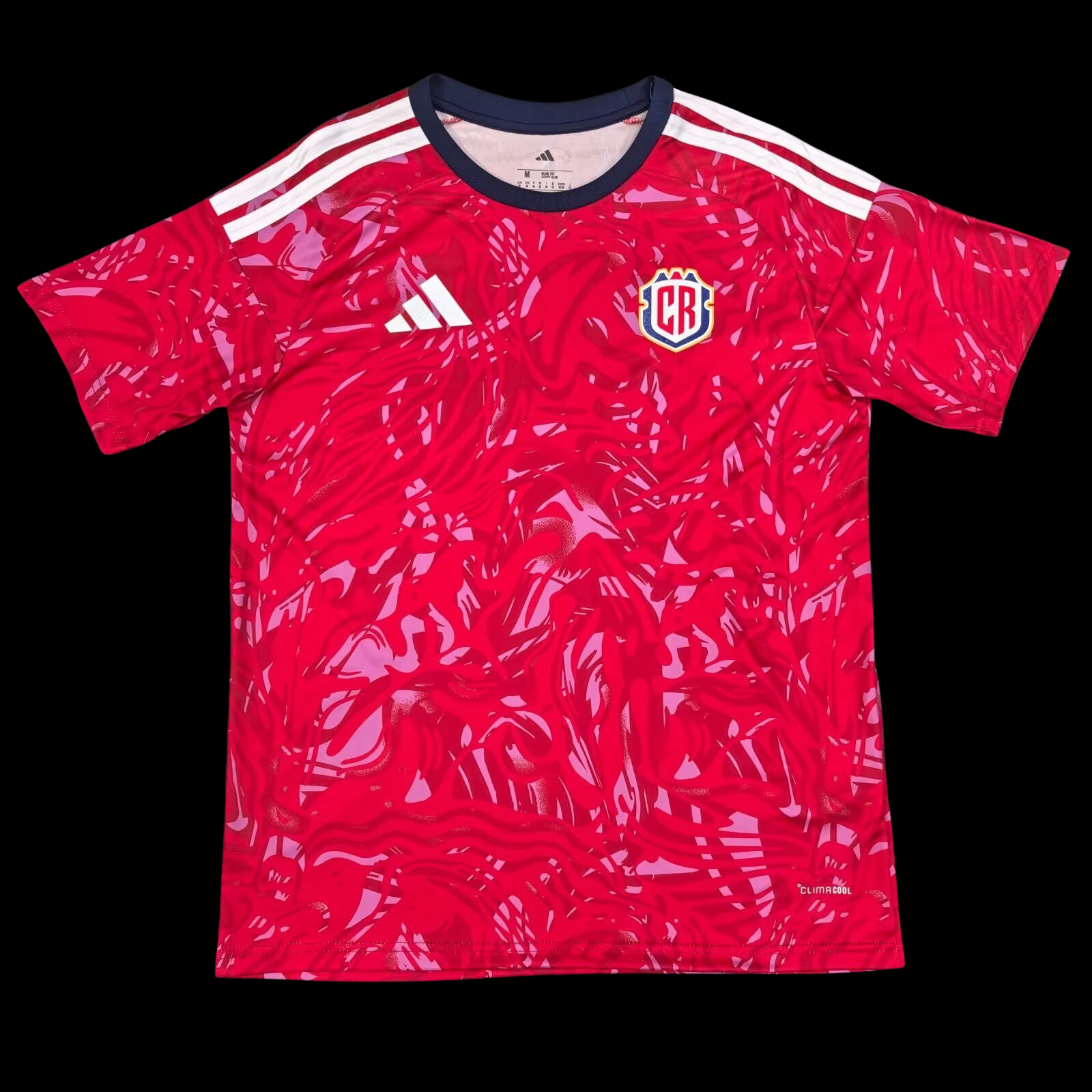 Costa Rica 2026 World Cup Home